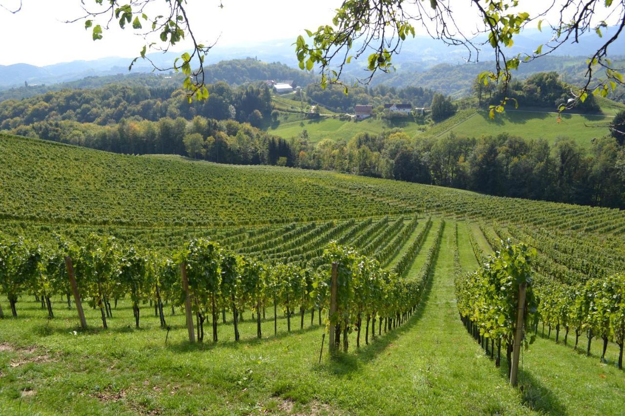 Weingut Fellner Bed & Breakfast Leutschach Dış mekan fotoğraf